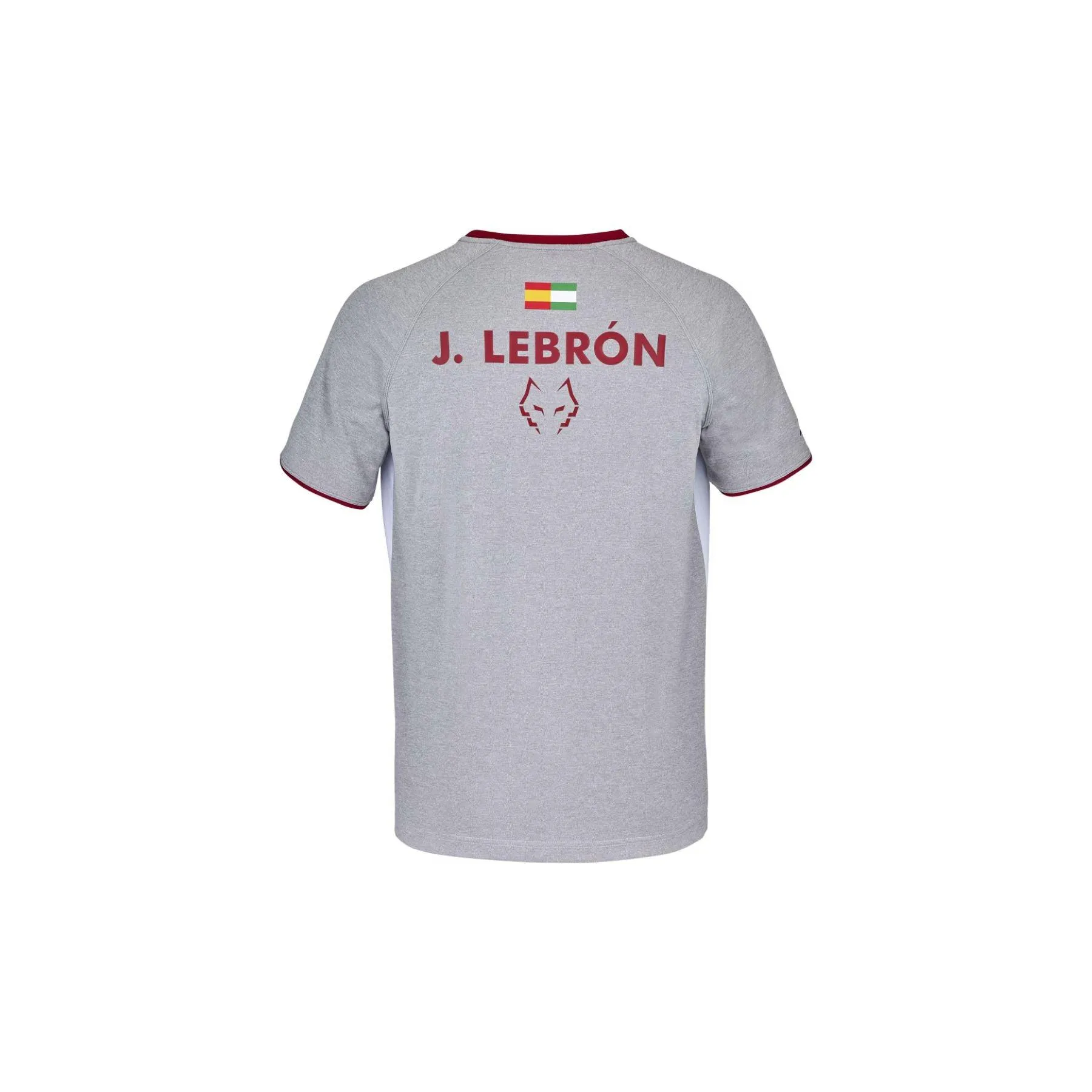 BABOLAT CREW NECK TEE LEBRON