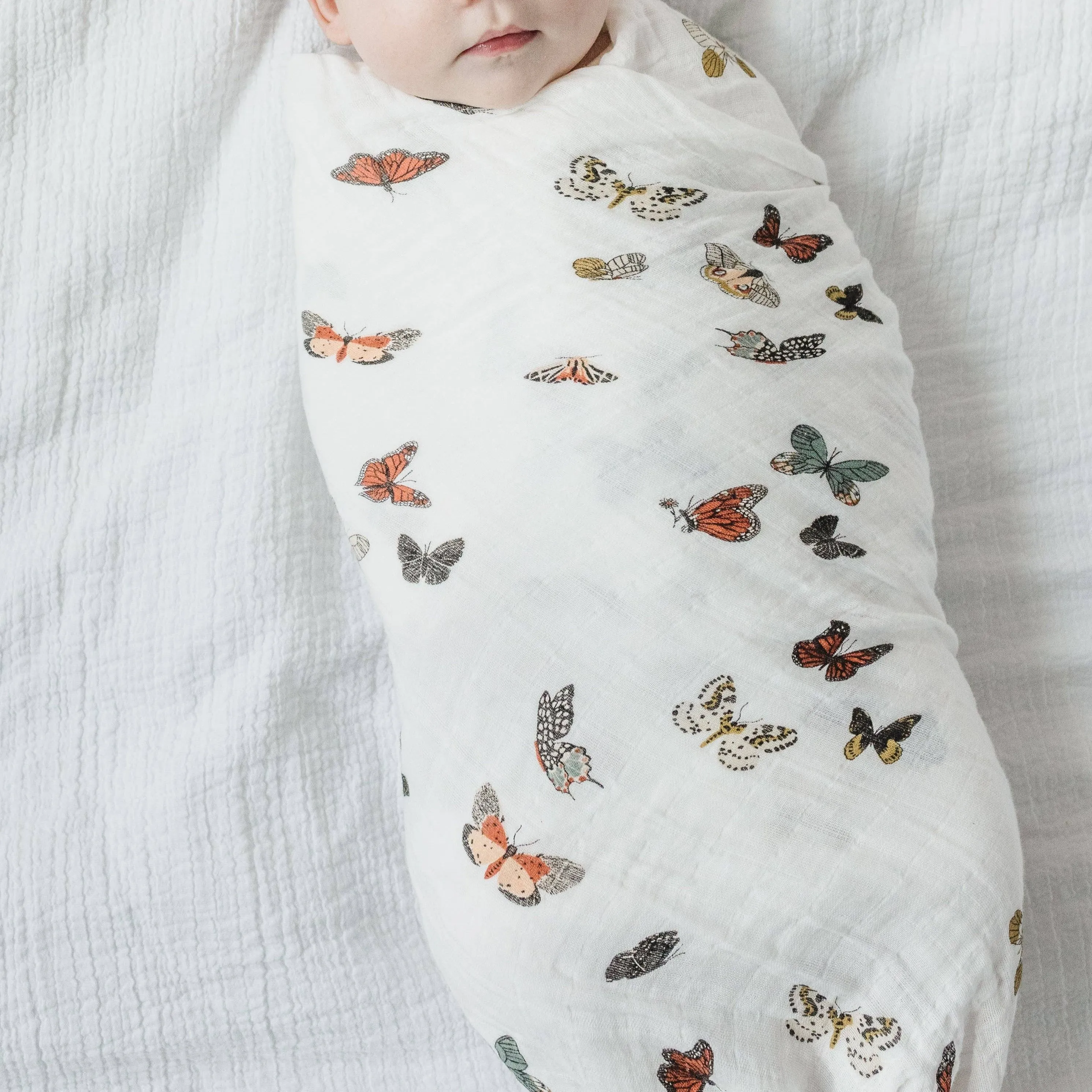 Butterfly Migration Swaddle Blanket