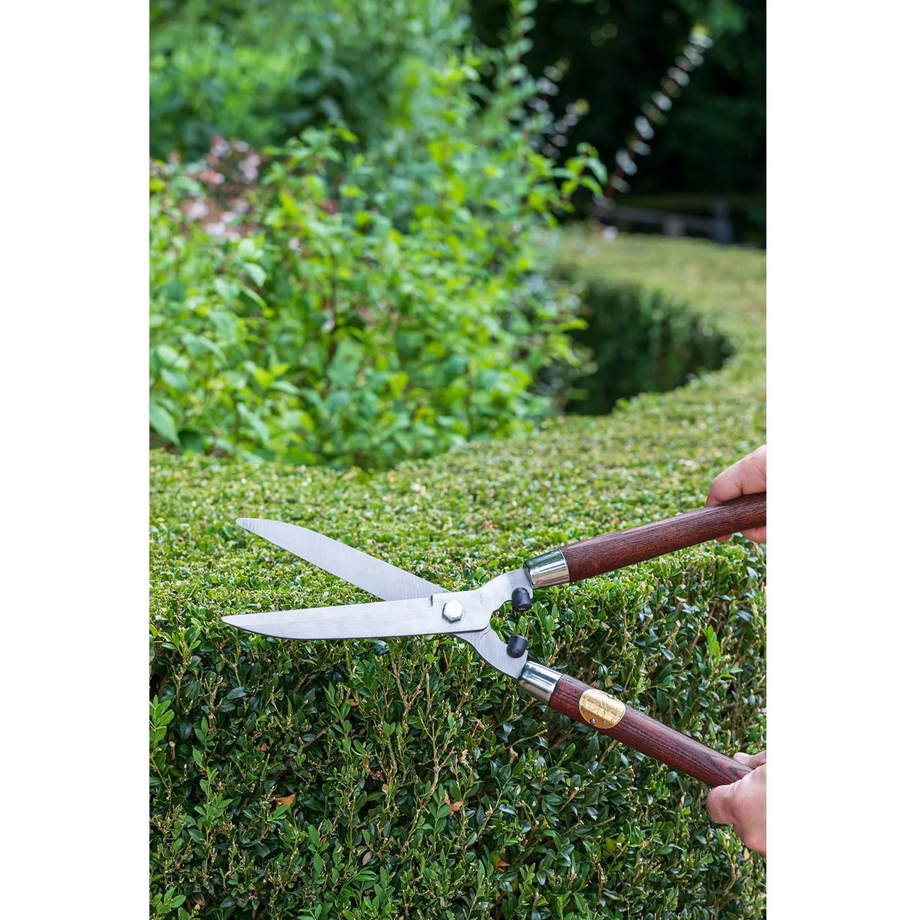 Hedge Shear - National Trust