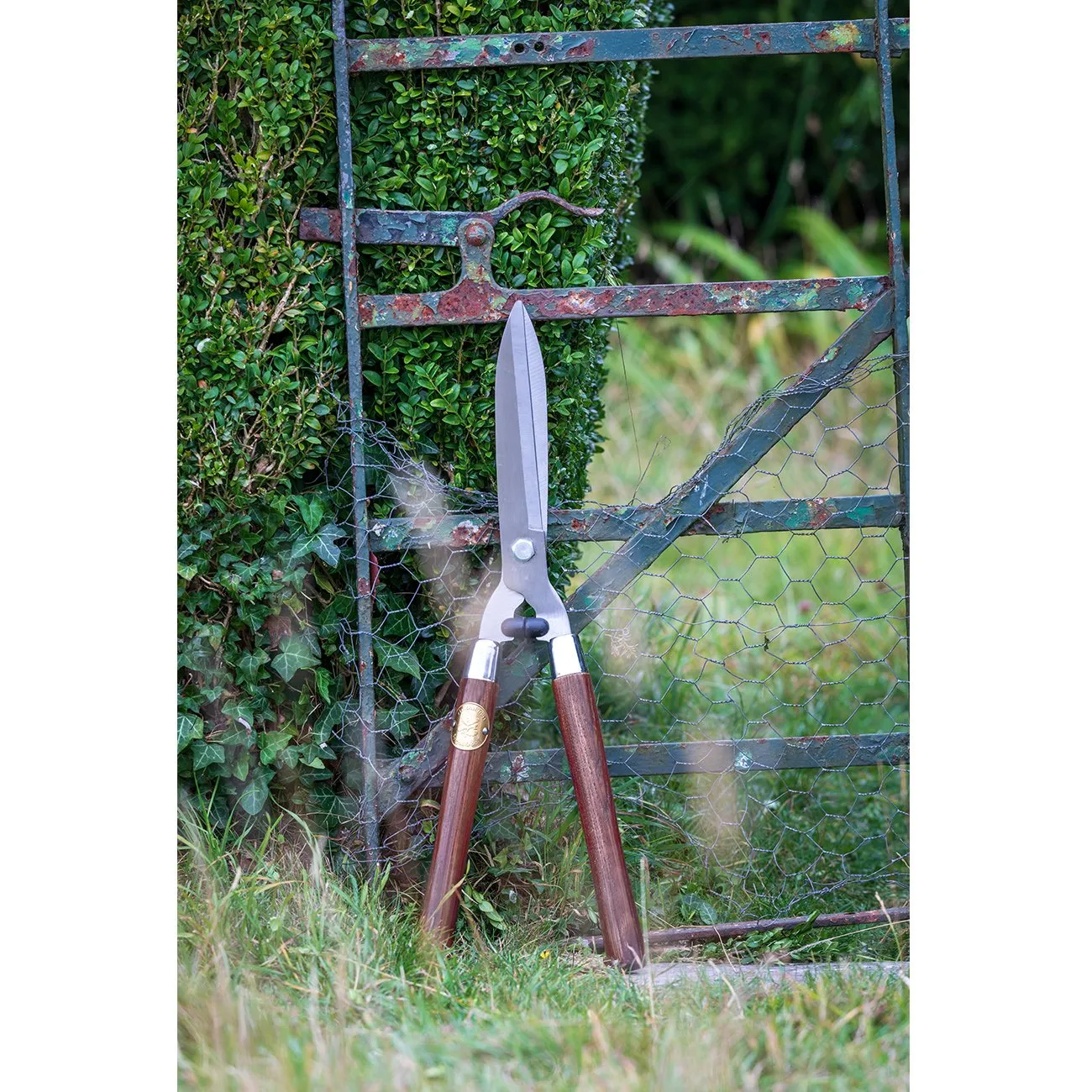 Hedge Shear - National Trust