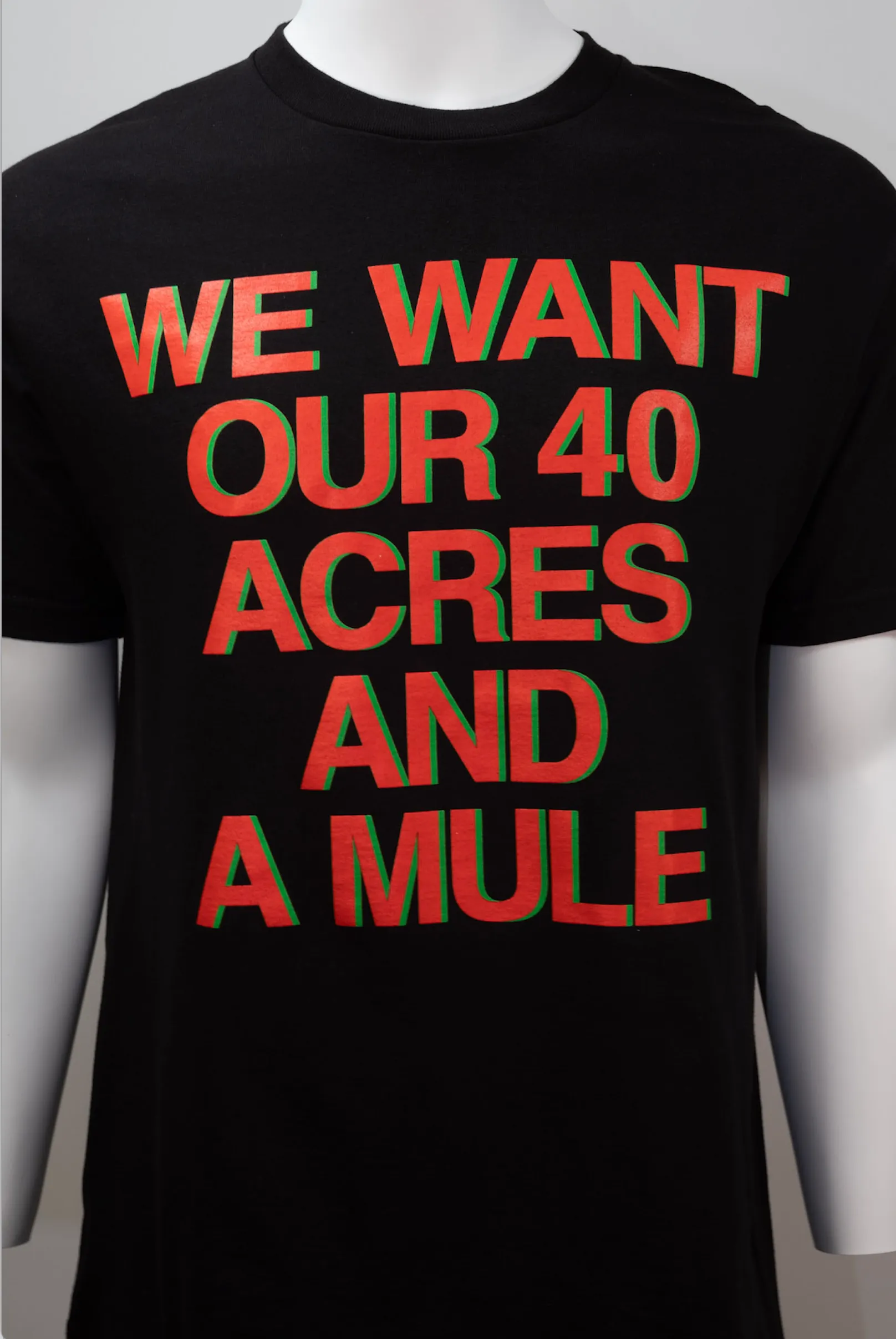 We Want Our 40 Acres and A Mule T-Shirt