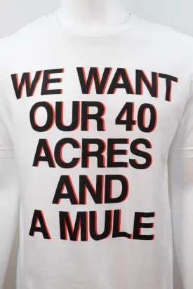 We Want Our 40 Acres and A Mule T-Shirt